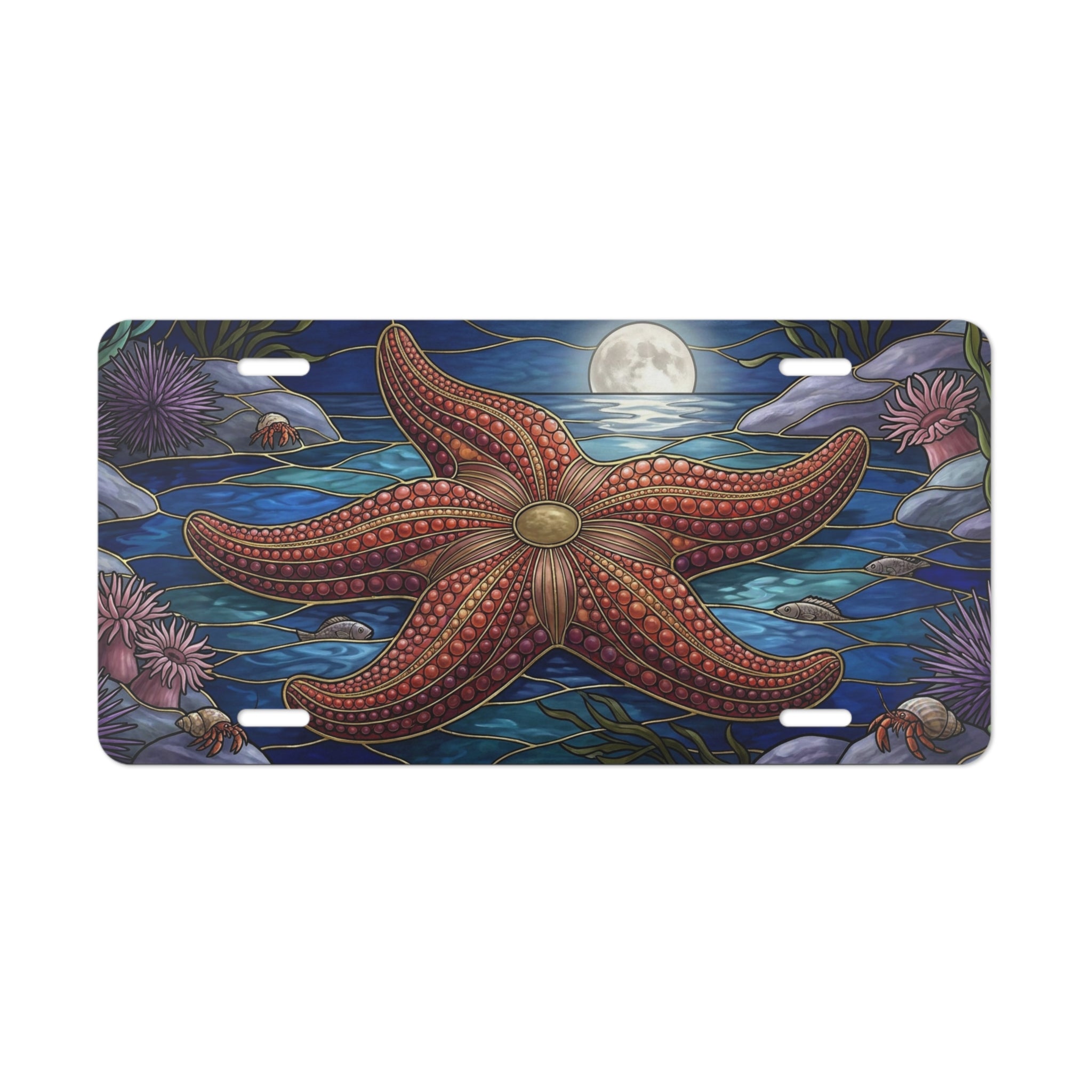 starfish moonlight ocean vanity plate lifestyle shot — coastal tide pool license plate