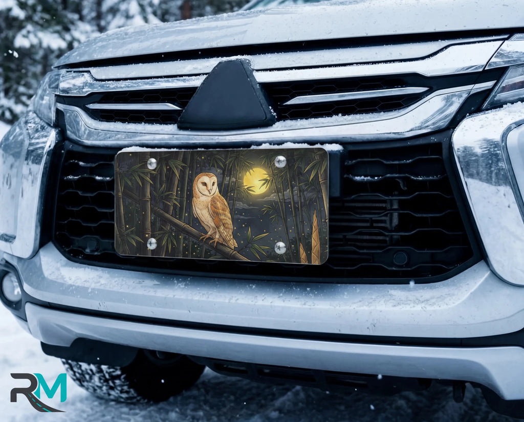 Barn Owl Moonlight Vanity Plate - Road Muse