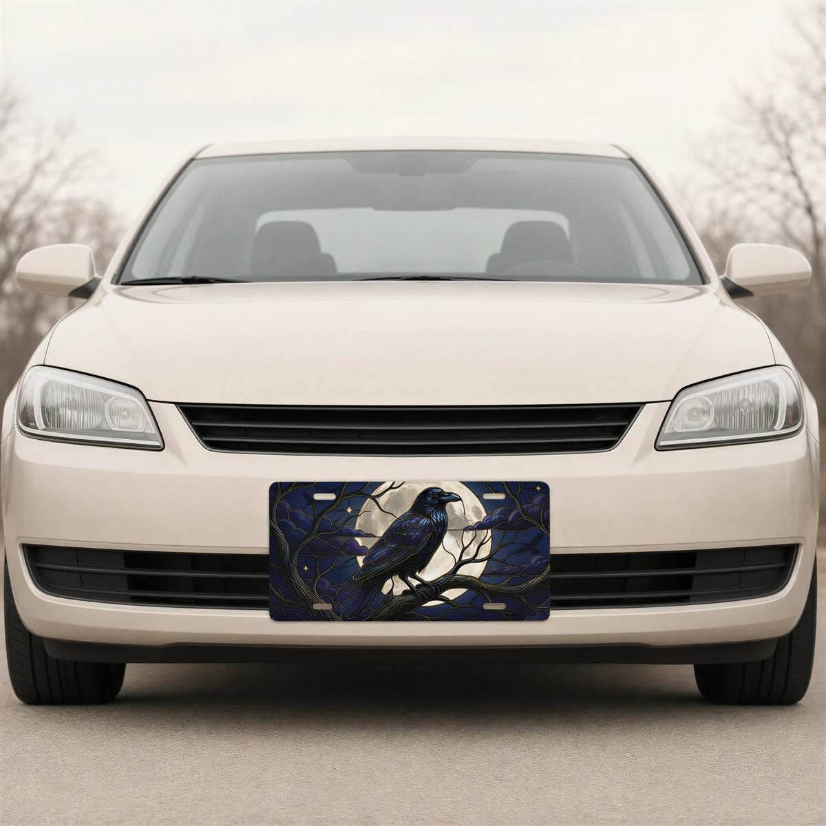 Moonlit Raven Vanity Plate