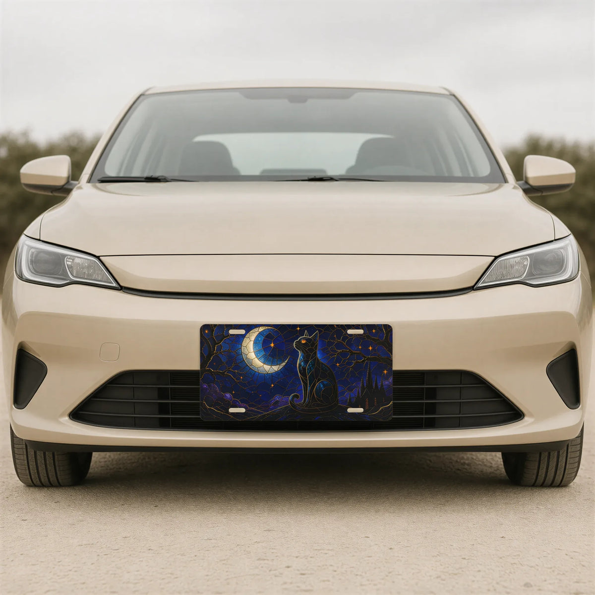 Moonlit Black Cat Crescent Moon Vanity Plate