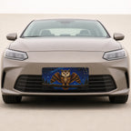 Owl Constellation Night Sky Vanity Plate