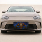 Owl Constellation Night Sky Vanity Plate - Road Muse