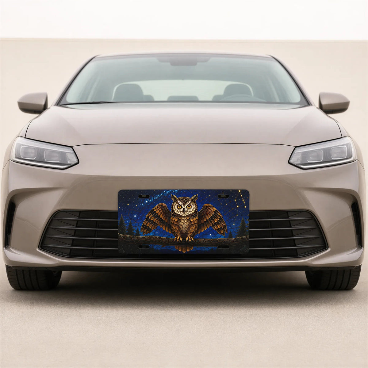 Owl Constellation Night Sky Vanity Plate - Road Muse