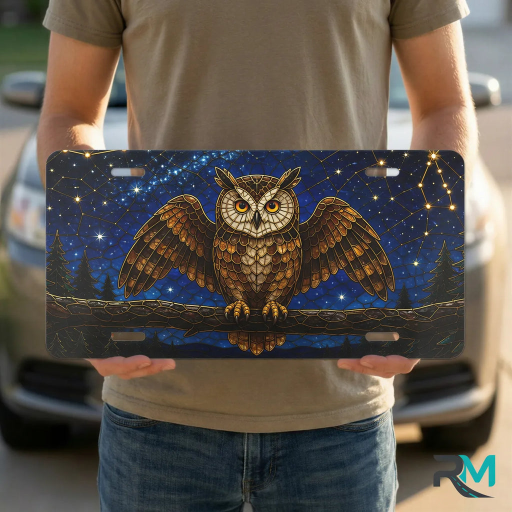 person holding owl constellation vanity plate — midnight owl moonlit branch constellation front plate