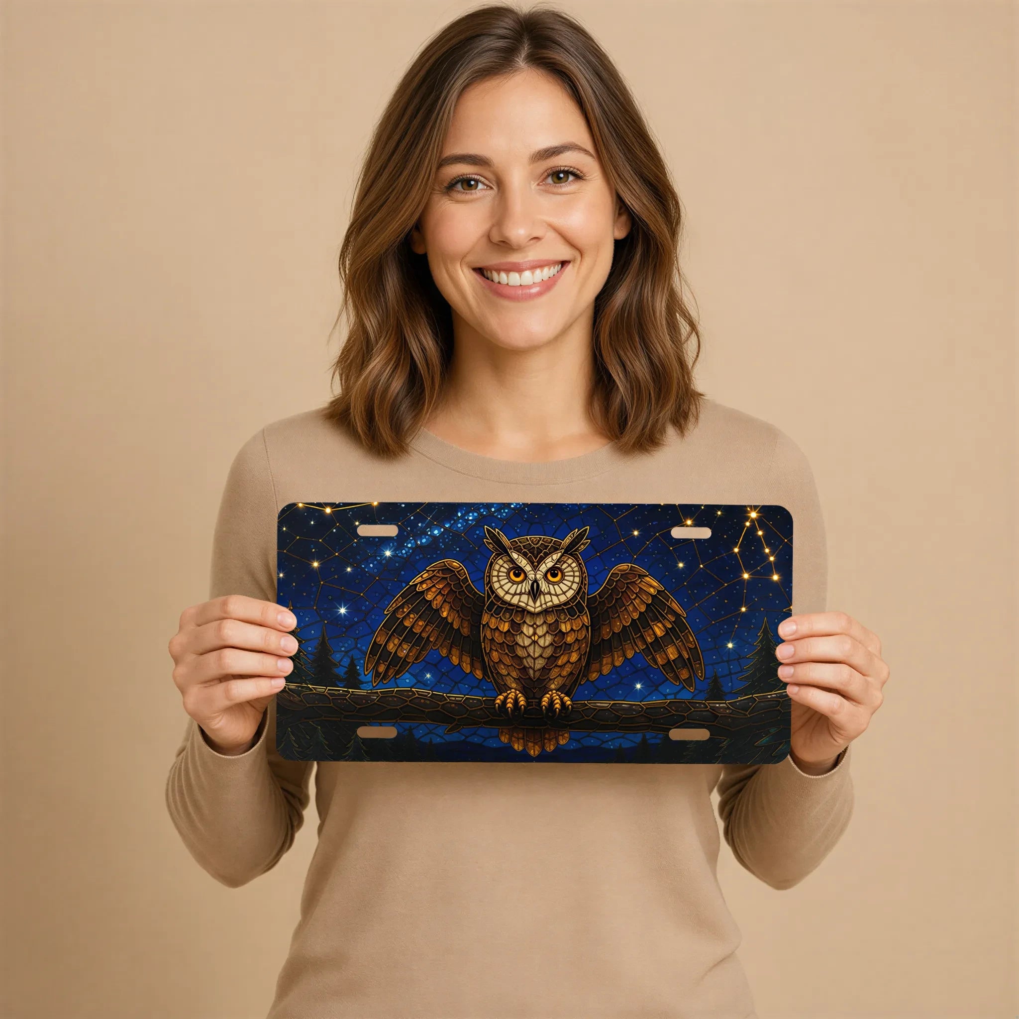 Owl Constellation Night Sky Vanity Plate