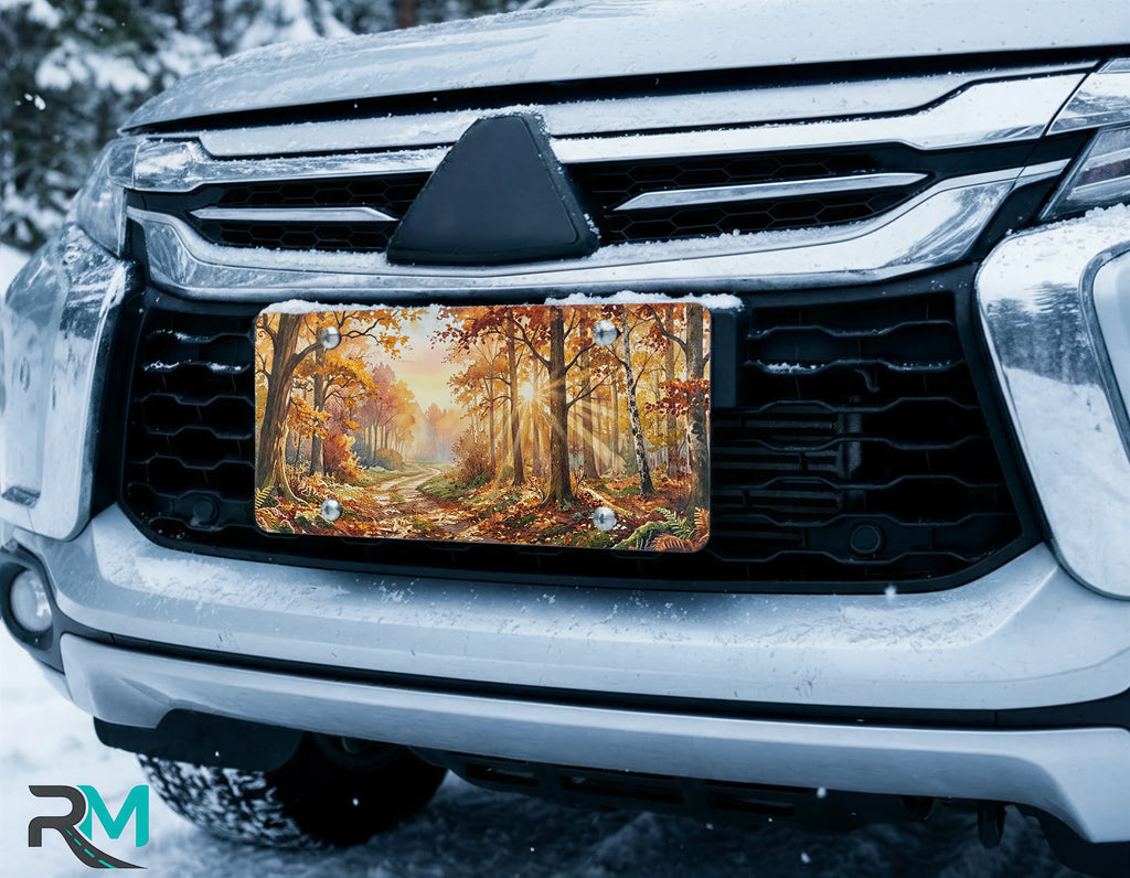 scenic fall forest license plate on car in snowy setting — autumn sunlit path design