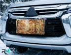 scenic fall forest license plate on car in snowy setting — autumn sunlit path design