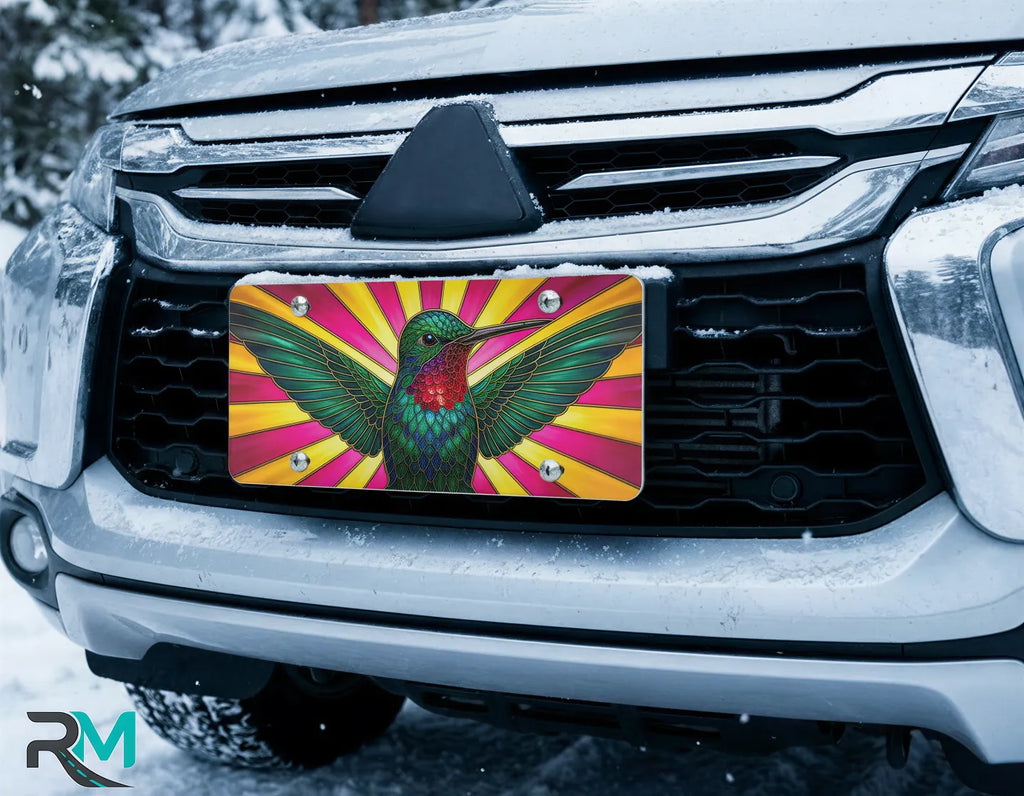 hummingbird license plate on car in snowy setting — vivid jewel-tone bird sunburst design