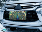 peacock feathers license plate on car in snowy setting — jewel-tone teal emerald gold design