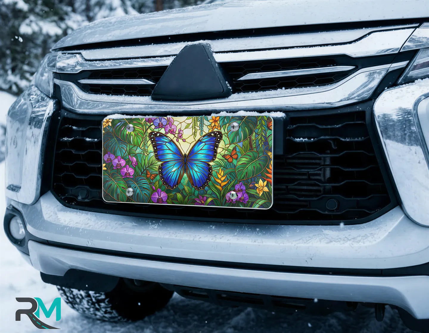 blue butterfly vanity plate on car in snowy setting — vivid blue butterfly tropical floral design