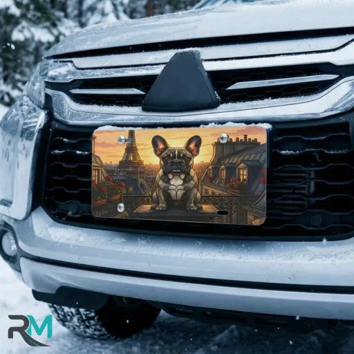 french bulldog paris vanity plate on car in snowy setting — sunset Eiffel Tower rooftop design