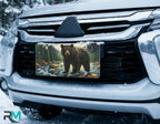 bear river license plate on car in snowy setting — mountain wilderness wildlife design