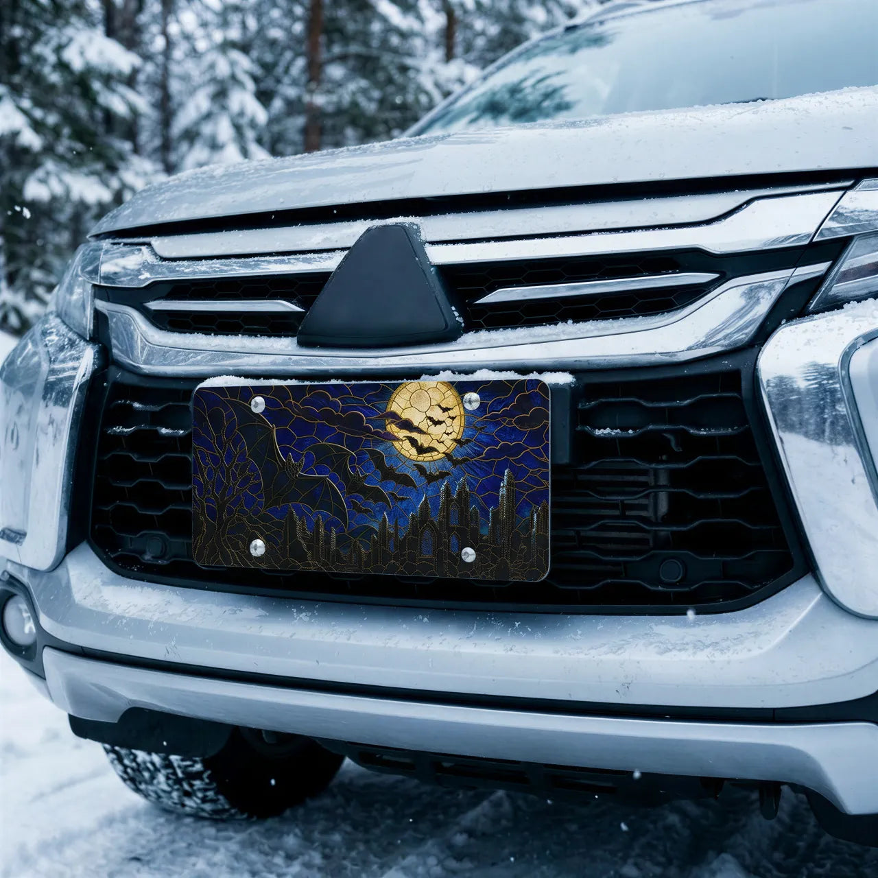 full moon bats vanity plate on car in snowy setting — midnight blue bat silhouette cracked moon design