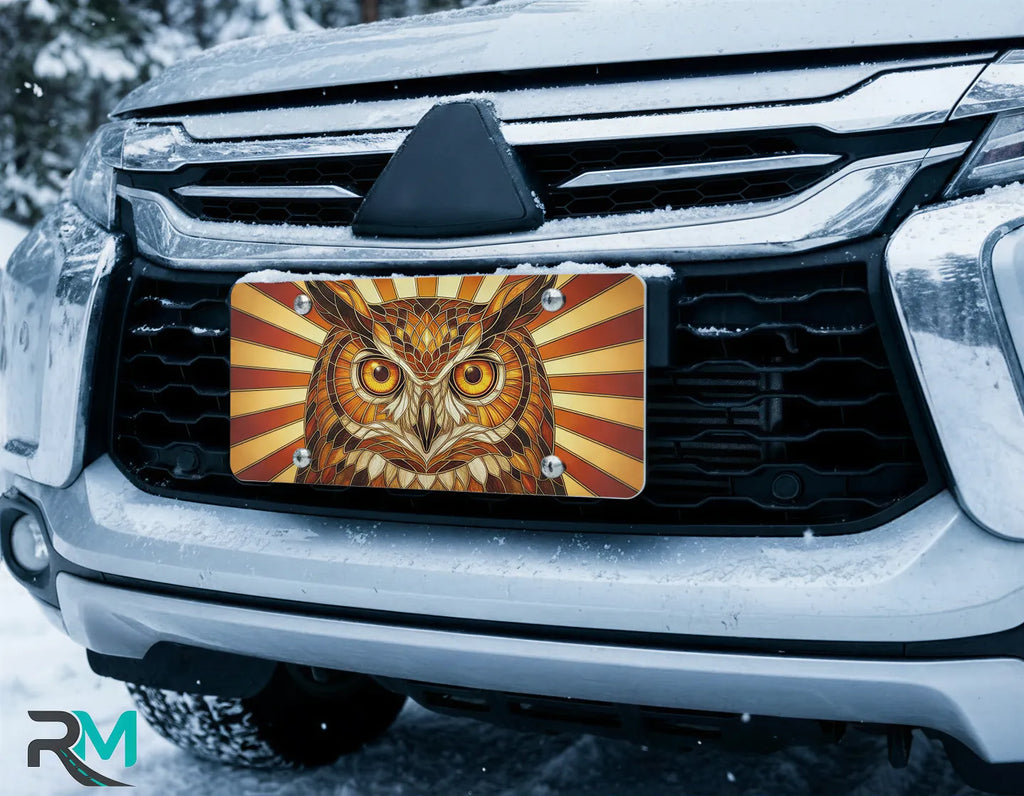 owl license plate on car in snowy setting — amber rust sunburst wildlife bird design